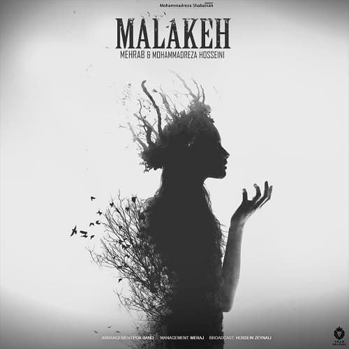  مهراب و محمدرضا حسینی ملکه